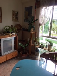 Estella Gardens (D17), Condominium #178304322